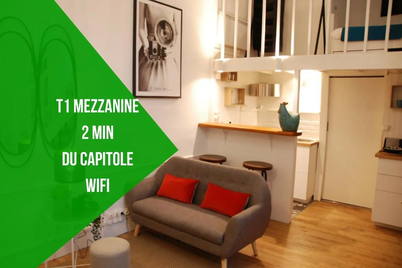 Le Typique - Coeur De Ville Toulouse Apartment